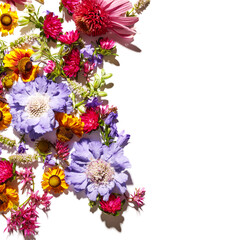 Border from different summer blossom wildflowers isolated on white background. Floral texture background