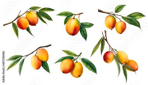 Set of watercolour mango isolated on transparent background. Generative Ai