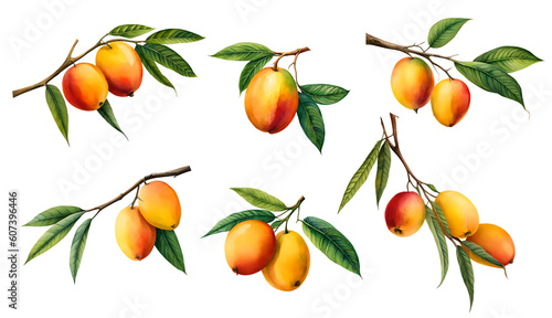 Set of watercolour mango isolated on transparent background. Generative Ai photo