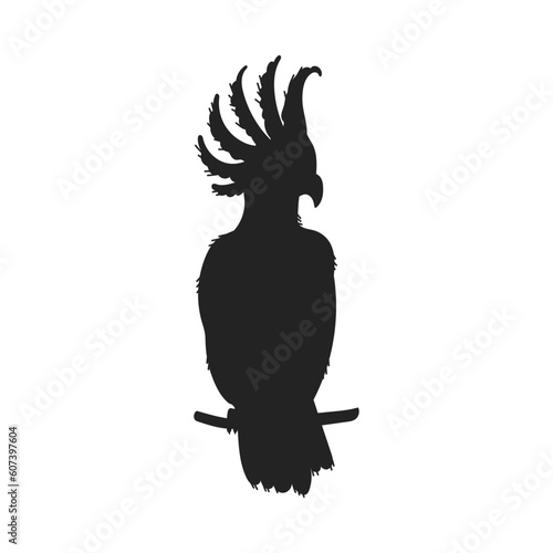 Black silhouette of cockatoo sitting on branch Australian bird flat style