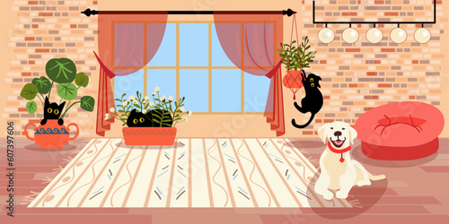 Golden Retriever on a wooden floor with a white carpet