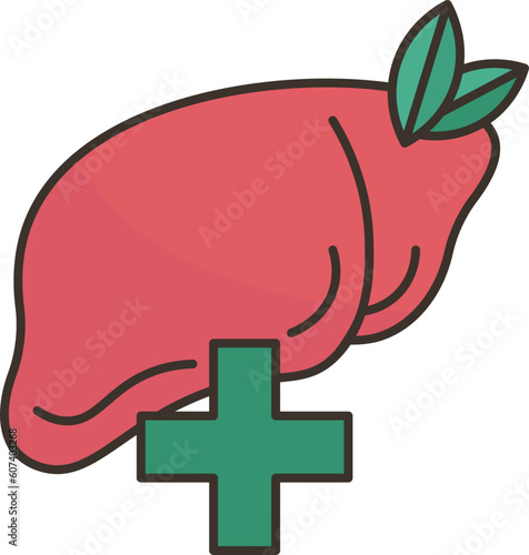 liver  icon