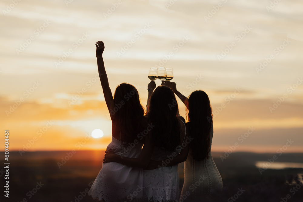 Silhouettes of women in the park in evening sunlight. The lights of a sun. The company of female friends enjoys a summer picnic and raise glasses with wine. Copy space.