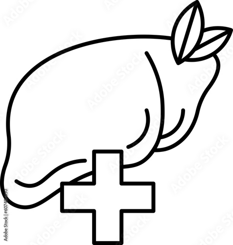 liver  icon
