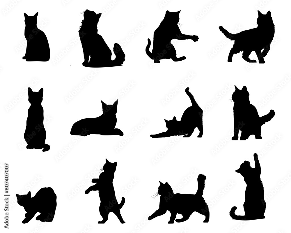 Set of cat silhouettes on isolated background