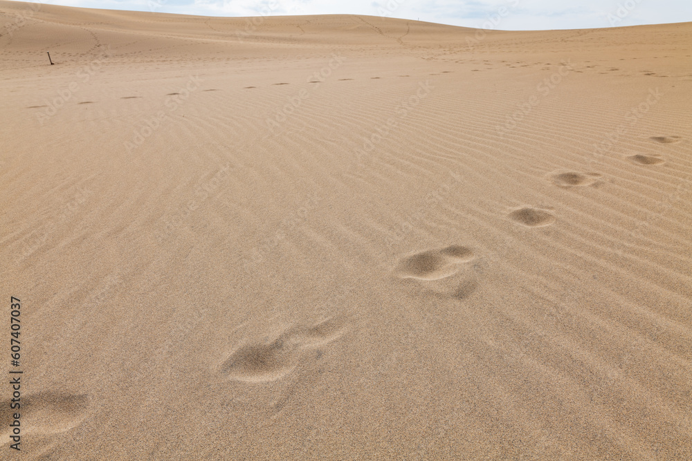 鳥取砂丘の砂漠の足跡