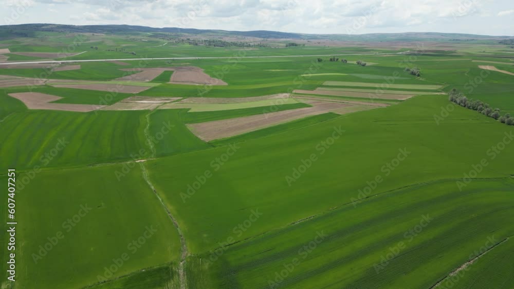 Wheat field shooting in wide field with drone. 4K 60Fps Video. Grassland harvest sky landscape Wheat field shooting in wide field with drone. 4K 60Fps Video. Grassland harvest sky landscape