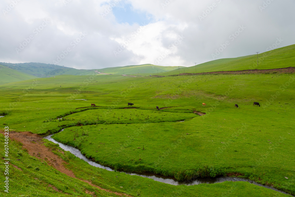 Meandering stream with mountains and clouds at The Persembe Plateau at Ordu, Turkey