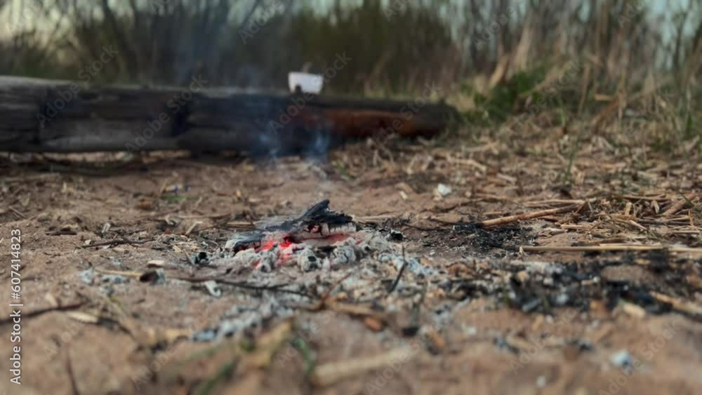 fading campfire with white smoke. Burning logs in fireplace. High quality 4k footage fading campfire with white smoke. Burning logs in fireplace. High quality 4k footage