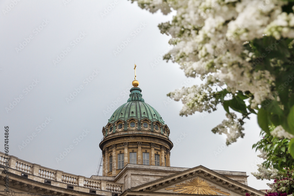 dome of building Kazan Orthodox Cathedral and blooming white lilacs in defocus on Nevsky Prospect in St. Petersburg in summer