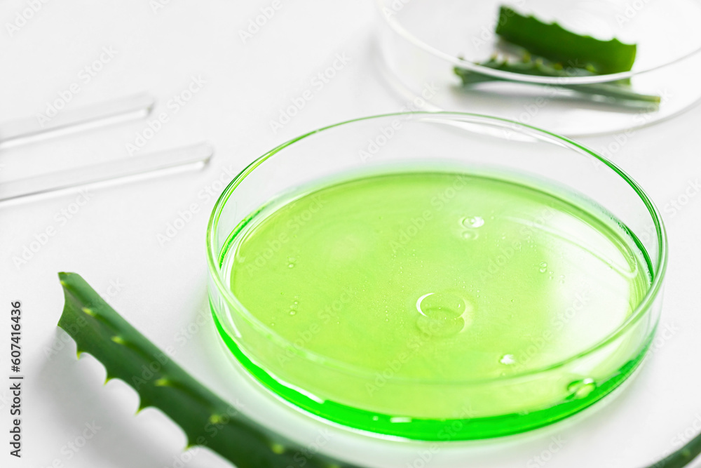 Green liquid in a petri dish. Drop the solution from the pipette. Aloe vera leaf nearby. Cosmetics laboratory. Green liquid in a petri dish. Drop the solution from the pipette. Aloe vera leaf nearby. Cosmetics laboratory.