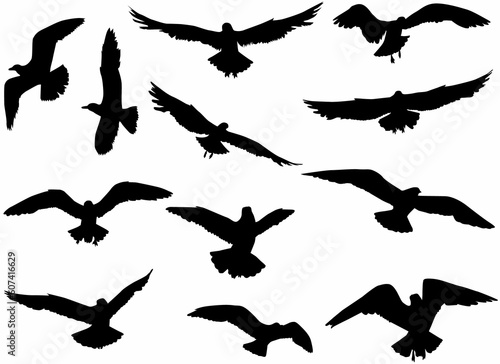 Flying birds silhouettes, concept illustration 