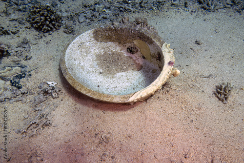 Cargo from the wreck of the Yolanda at the tip of the Sinai Peninsula in Egypt photo