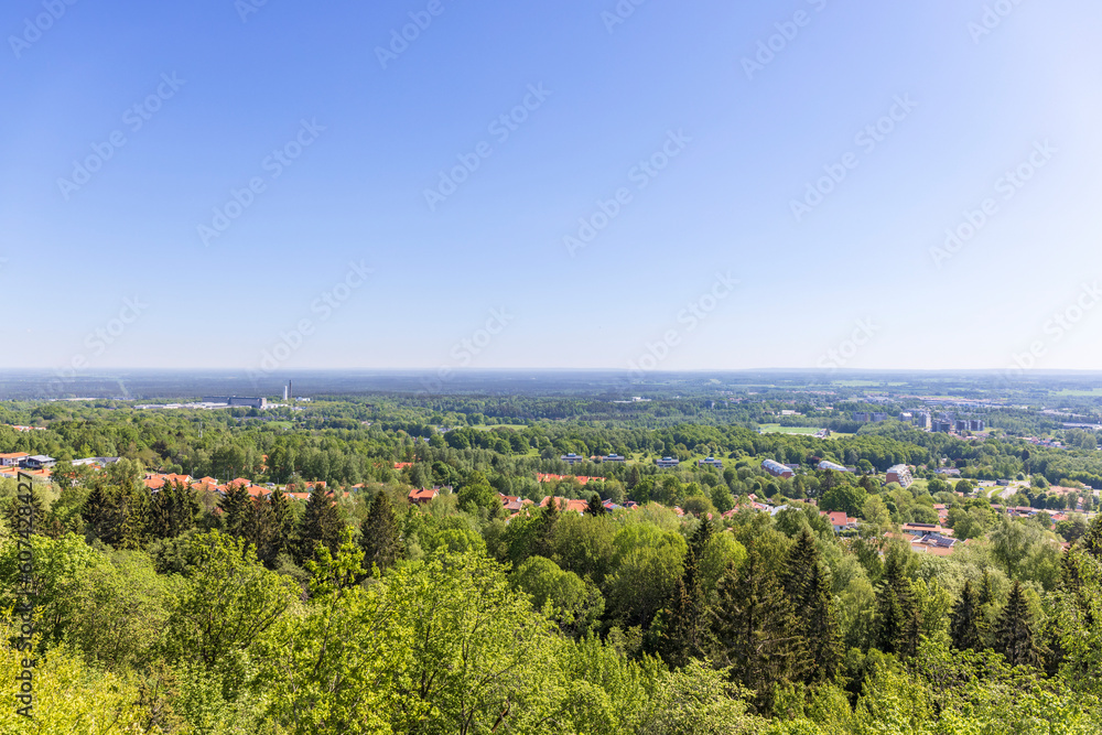 Obraz premium View over a suburb a sunny summer day