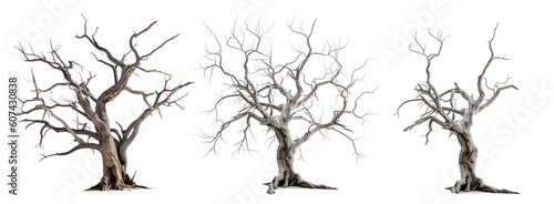 Fotografija Dead trees with branches isolated. PNG element, Generative AI