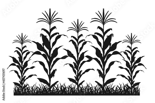 Maize field silhouette. Corn farm black vector illustration. Cultivation of crops