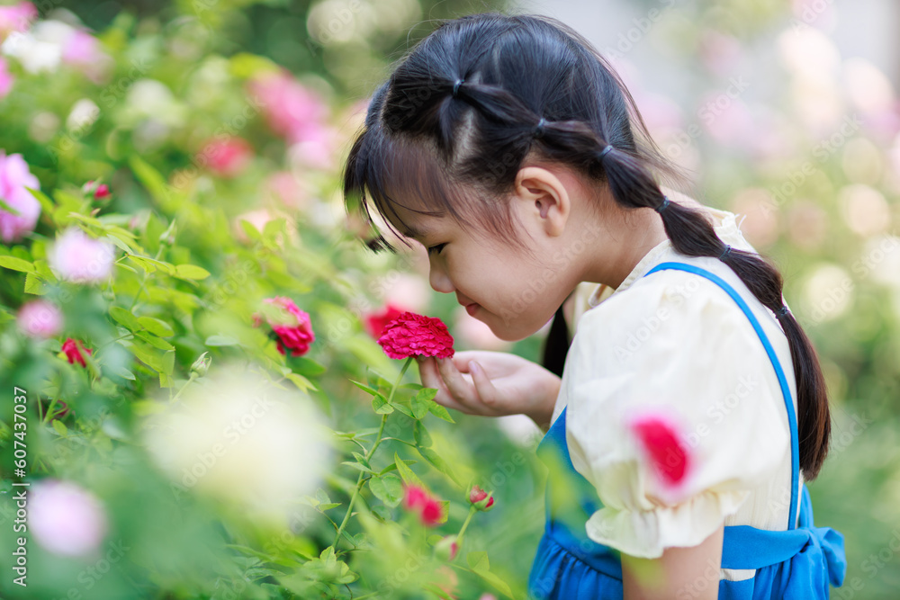 Smell sensory learning from flower. Cute Asian kid exploring natural environment through outdoor activity like play, touch and see the real things is the best method for education in children. Smell sensory learning from flower. Cute Asian kid exploring natural environment through outdoor activity like play, touch and see the real things is the best method for education in children.