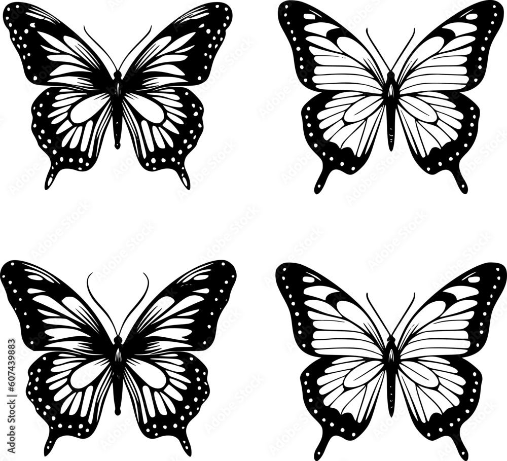 Butterflies | Black and White Vector illustration Butterflies | Black and White Vector illustration