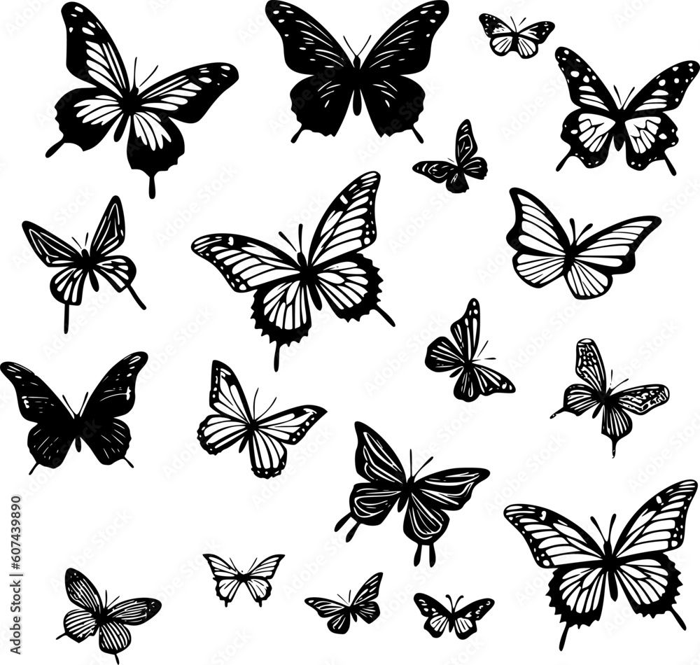 Butterflies | Black and White Vector illustration Butterflies | Black and White Vector illustration