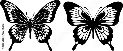 Butterflies - Black and White Isolated Icon - Vector illustration