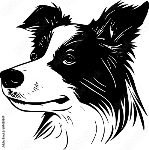 Border Collie | Black and White Vector illustration