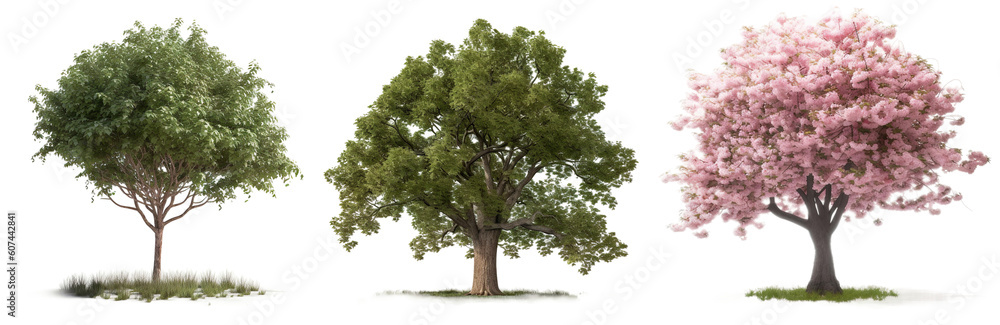 Fototapeta premium Collection of trees isolated on transparent background, Generative Ai