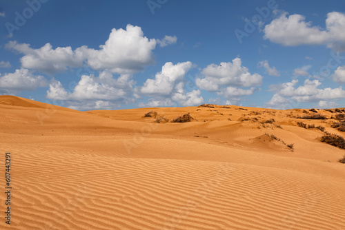 A picturesque landscape with desert dunes on a sunny summer day. Kalmykia, Russia