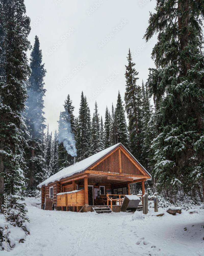 Wooden building of shelter with igniting a fireplace and sale bakery and beverage in Lake O'hara