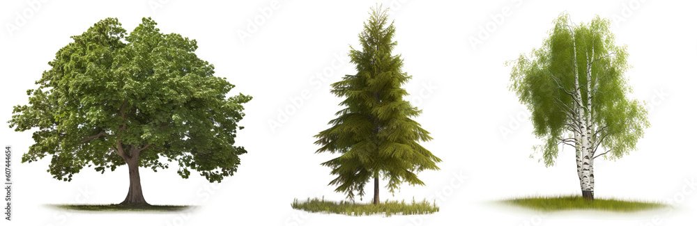 Fototapeta premium Collection of trees isolated on transparent background, Generative Ai