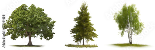 Collection of trees isolated on transparent background, Generative Ai