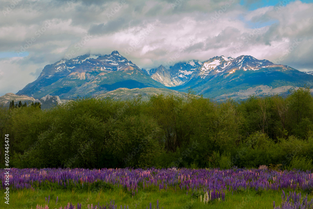 Mountains with colored flowers and trees in Trevelin, Chubut - Patagonia Argentina. Mountains with colored flowers and trees in Trevelin, Chubut - Patagonia Argentina.