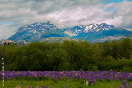 Mountains with colored flowers and trees in Trevelin, Chubut - Patagonia Argentina.