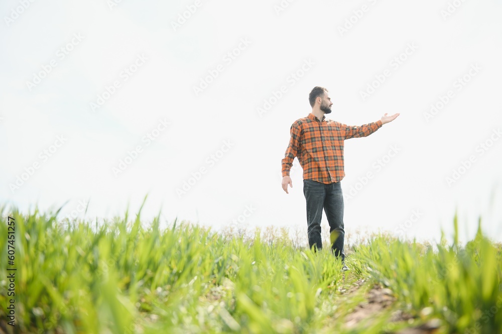 Portrait of farmer standing in field. Portrait of farmer standing in field.