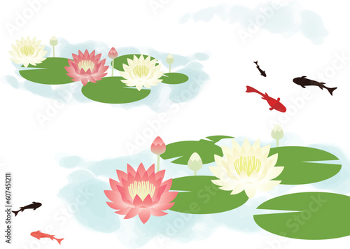 睡蓮が咲いて金魚が泳いでいる池の背景イラスト