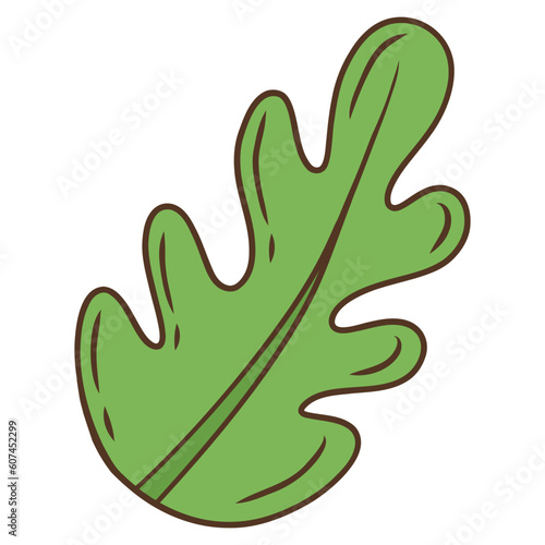 illustration of a leaf