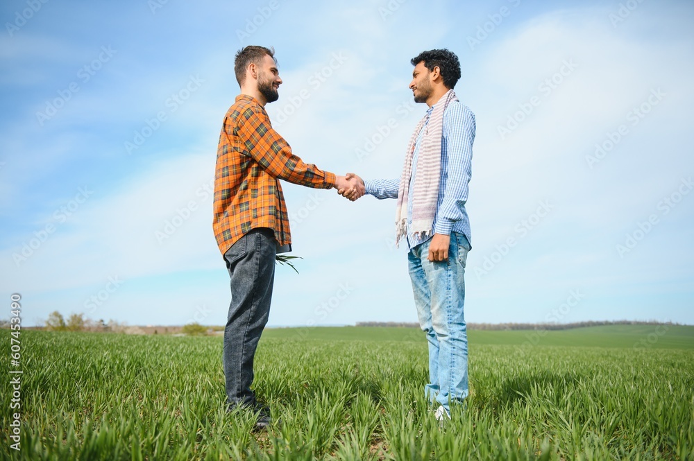 Indian and European farmers stand in a field of green wheat Indian and European farmers stand in a field of green wheat