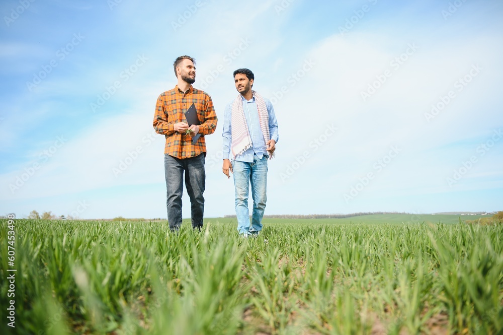 Two indian farmer standing at agriculture field. The concept of agriculture Two indian farmer standing at agriculture field. The concept of agriculture