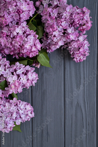 A wooden gray background on which lie branches of fragrant purple lilac