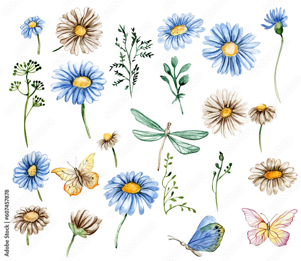 Blue and white chamomile flowers set with butterflies .For nursery, baby shower, invitation for birthday party. Watercolor illustration for greeting card, posters, stickers, packaging.
