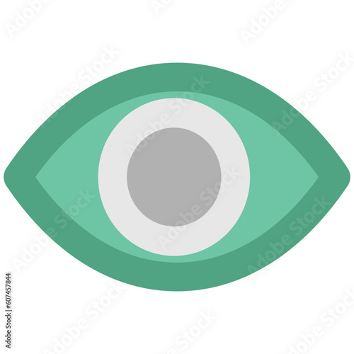 A human eye bold line icon photo