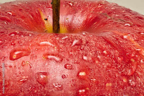 Apfel Makro