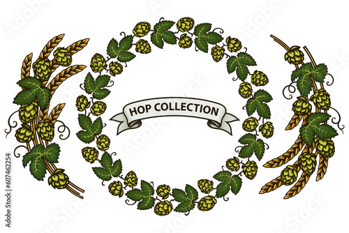 Round frame made of beer hop with wheat or barley ears. Vector illustration isolated on white background.
