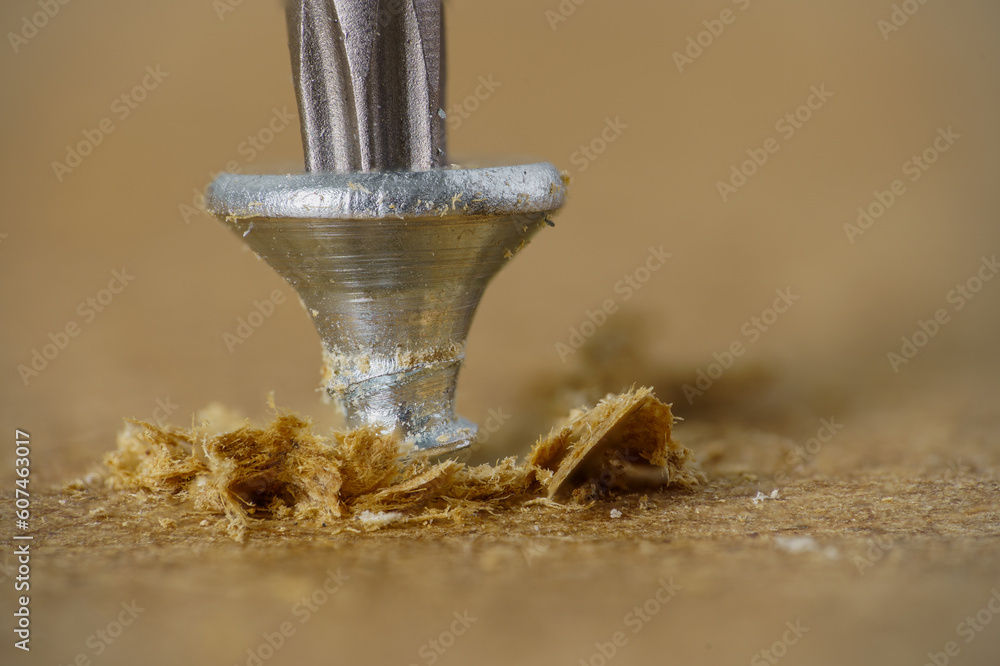 Torx bit drilling the small screw to the wood, close up. - obrazy, fototapety, plakaty 
