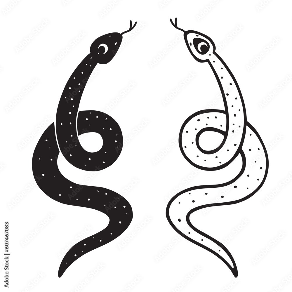 Fototapeta premium Hand drawn two occult snakes opposite colors in outline line art design, isolated vector illustration on a white background