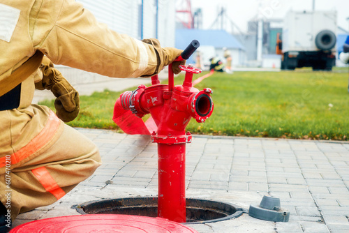 Plakat Firefighter sits next to fire hydrant. Back view. Firemen training.
