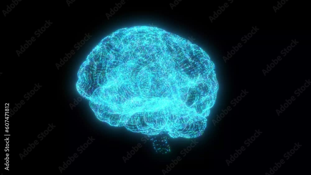 Holographic image of a rotating brain on a black background. Seamless loop. Holographic image of a rotating brain on a black background. Seamless loop.