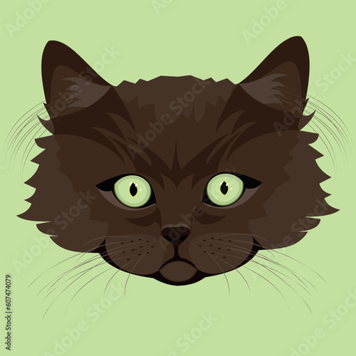 Isolated image of the muzzle of a brown kitten on a light green background