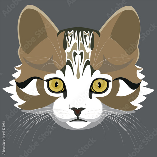 Isolated image of the muzzle of a tabby kitten on a gray background