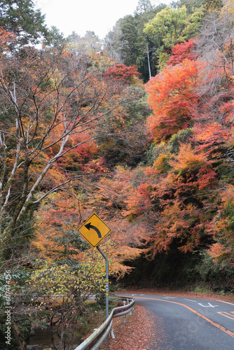 Minoh Park autumn colorful forest mountain road in Osaka, Japan photo