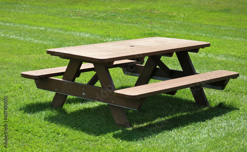 wood picnic table on green lawn (grass, sunshine, detail, closeup, macro) outdoor dining, spring, summer